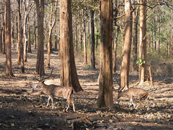 National park