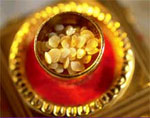 Heart Shrine Relic Exhibition